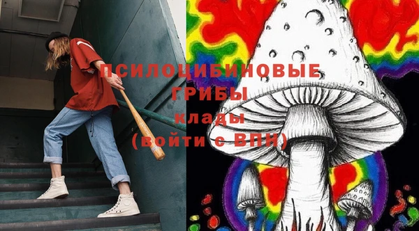 не бодяженный Арсеньев