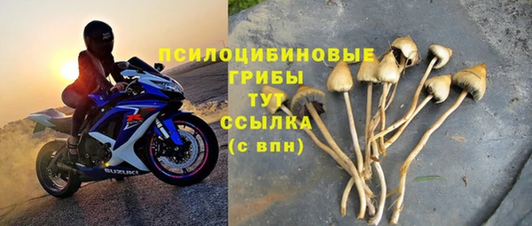 твердый Аркадак